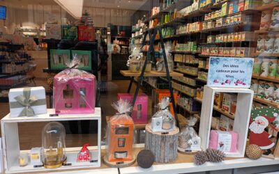 Des idées cadeaux a offrir à Noël !